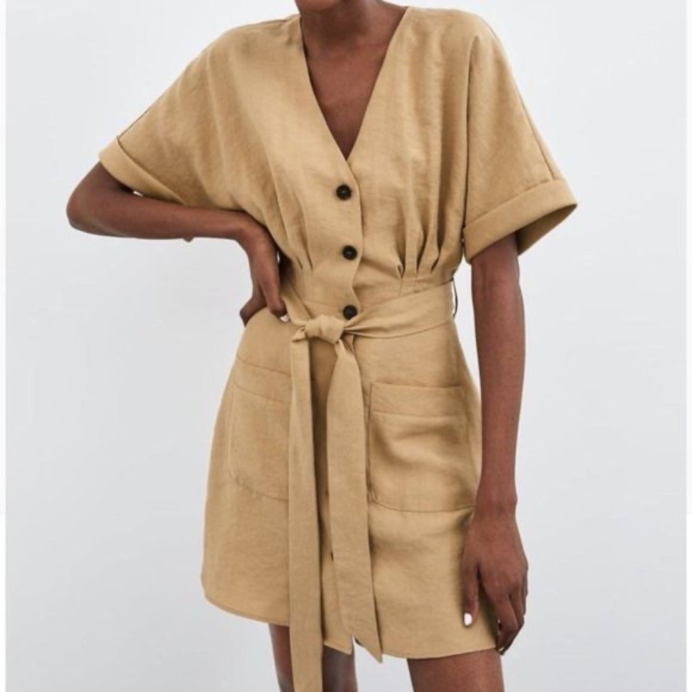 Zara Pleated Button Down Dress